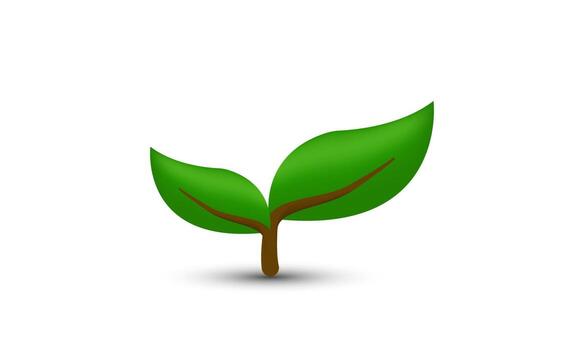 Herb Decoration